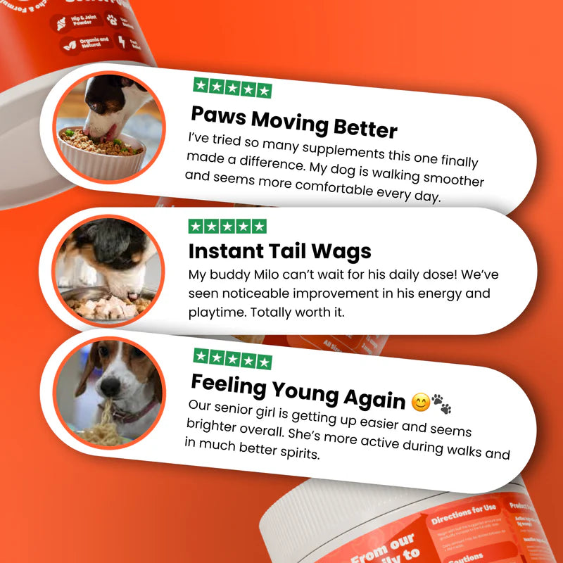 LumiPaw Spine & Disc Powder