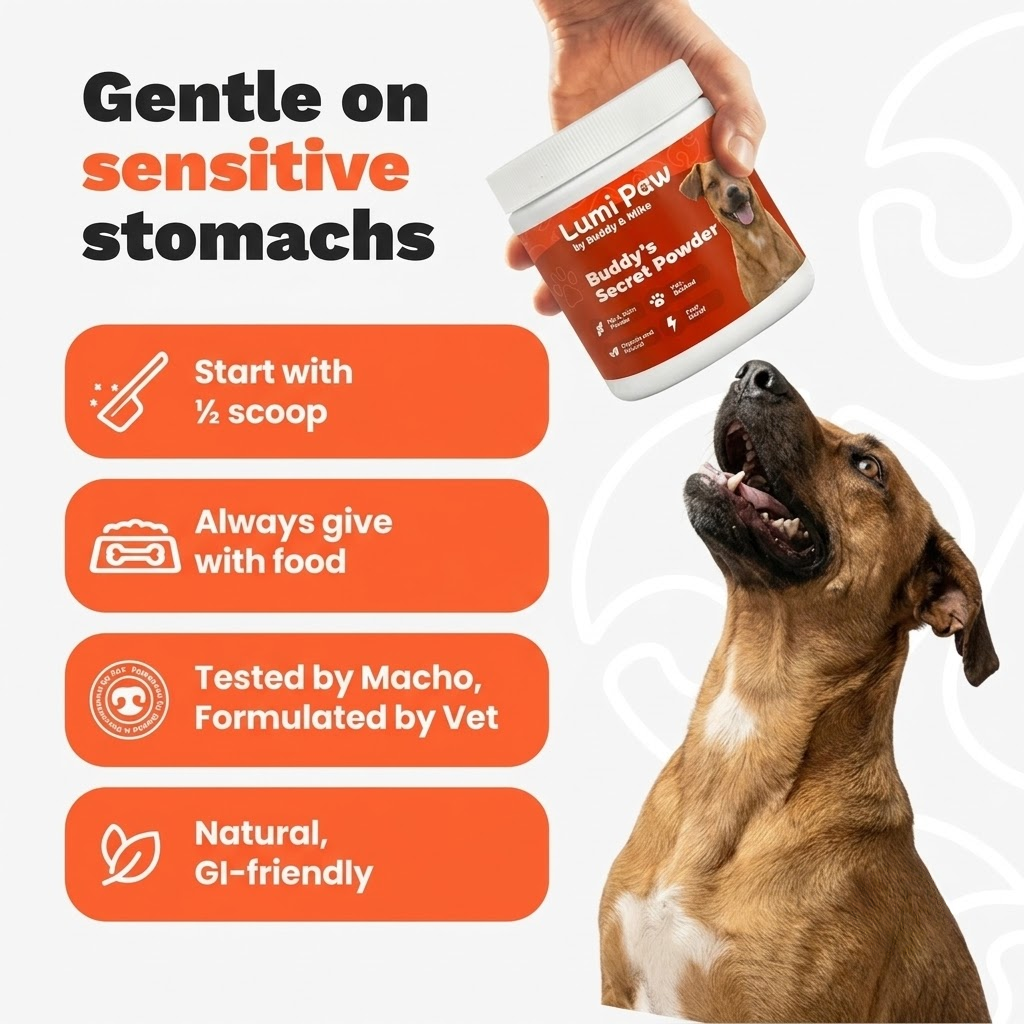 LumiPaw Spine & Disc Powder