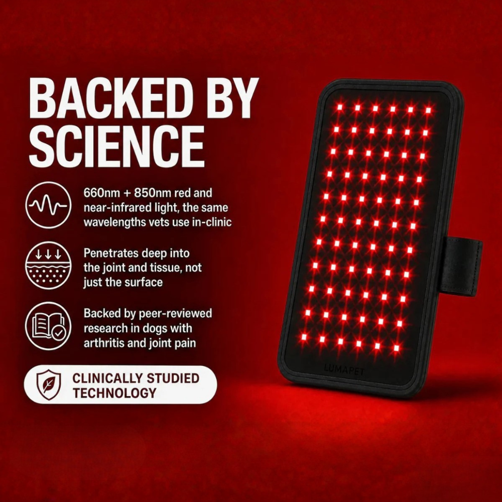 LumiPaw - Red Light Theraphy Pad