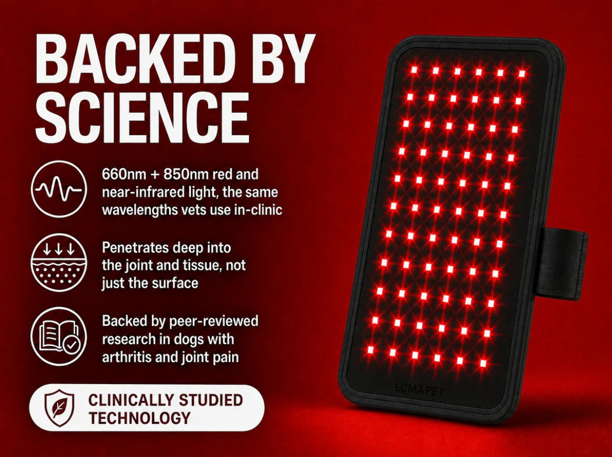 LumiPaw Red Light Pad