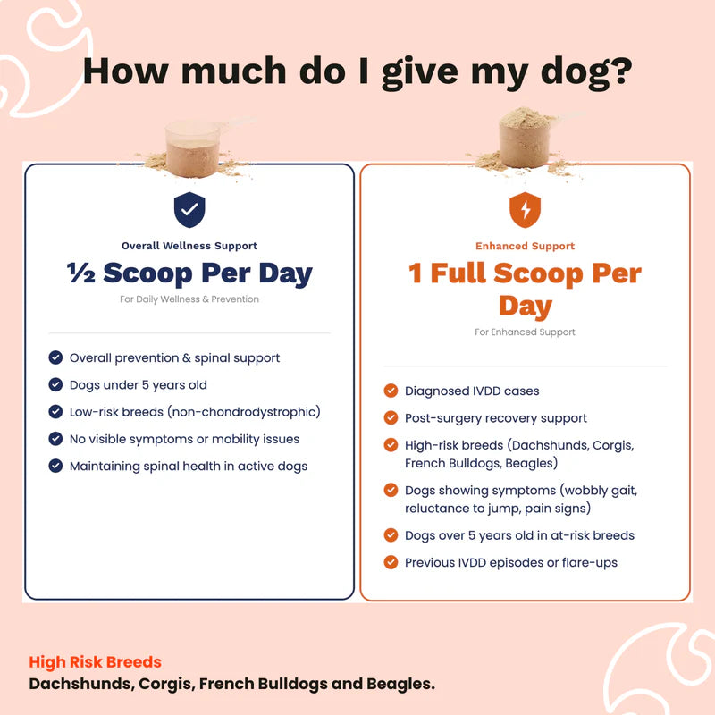LumiPaw Spine & Disc Powder