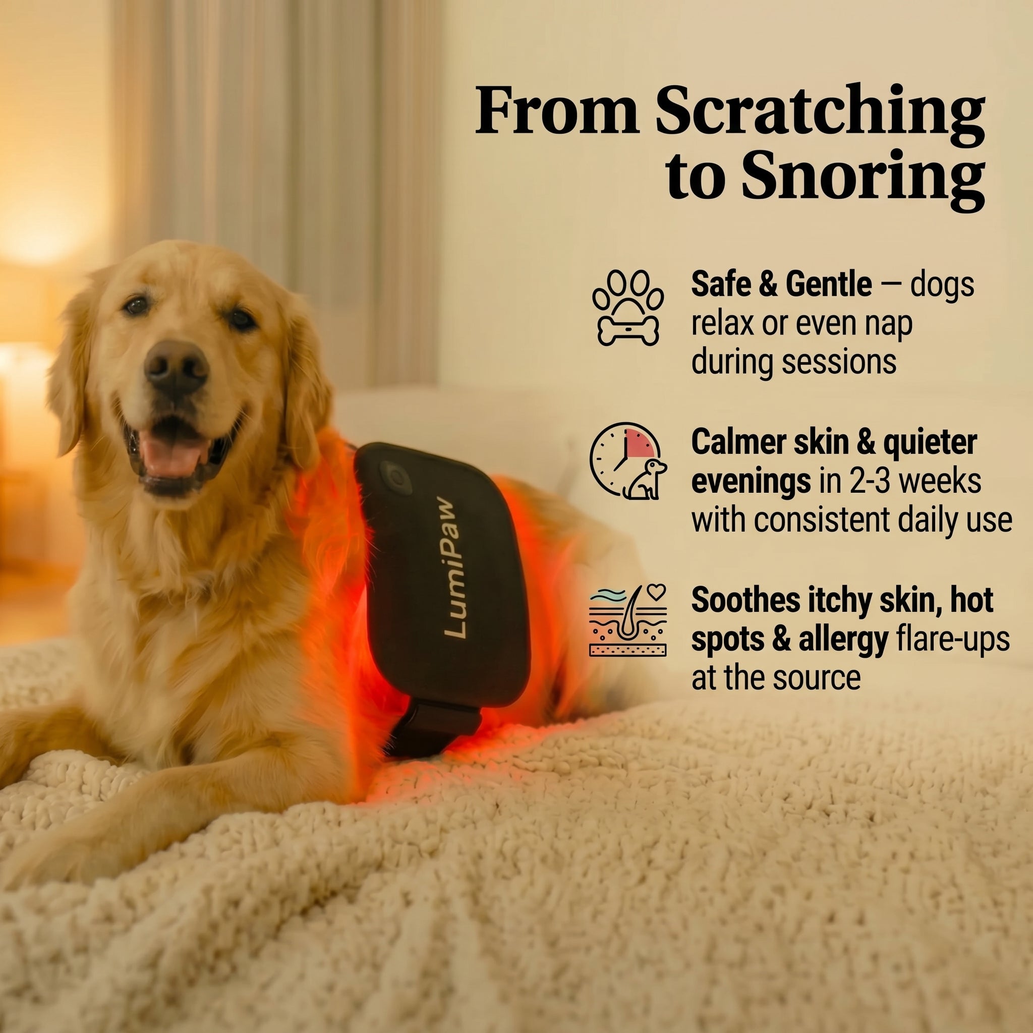 LumiPaw - Red Light Theraphy Pad